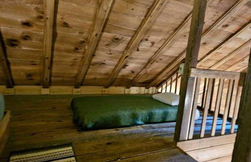 Multiple cabins at Cabin Fever - Foto 20