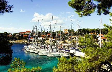 Sea Pearl - Photo 34