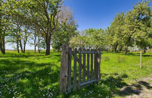 FEWO auf dem Lande / nahe SPO - Foto 107
