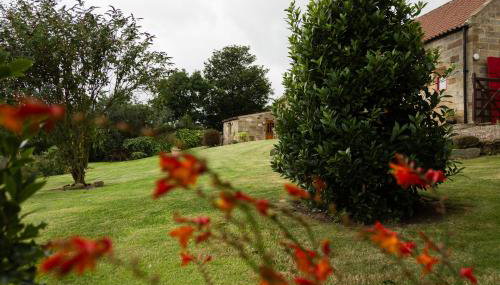 Spangle Cottage, Borrowby Farm Cottages - Foto 2, Garden view