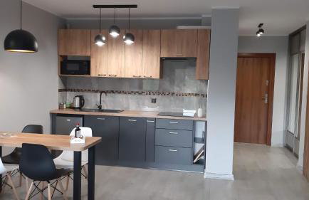 Apartamenty Malinówka pod Śnieżką - Foto 9
