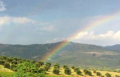 Agriturismo Podere del Vescovo - Foto 6