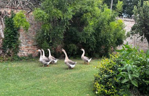 Ca' San Valentino - Foto 6