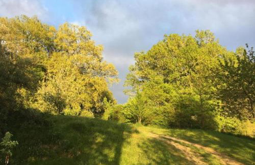 Cottage in Chaleix near Forest & Lake - Foto 35