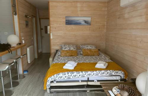 T1bis dans les dunes du Cap Ferret - Foto 12