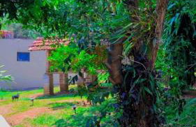 LUMA - Casa de Hospedaria - Foto 7