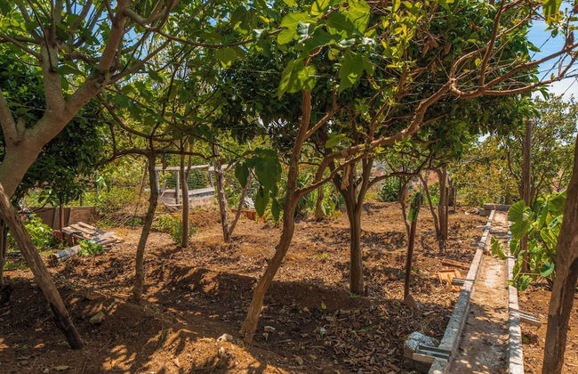 Vacations in the Countryside - Casinha dos Canhas - Foto 36