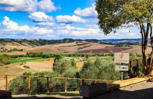La Lunaria di Lajatico - Foto 75