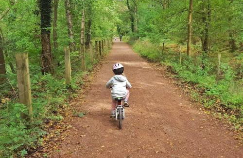 The Chaff House Country Cottage - Foto 12