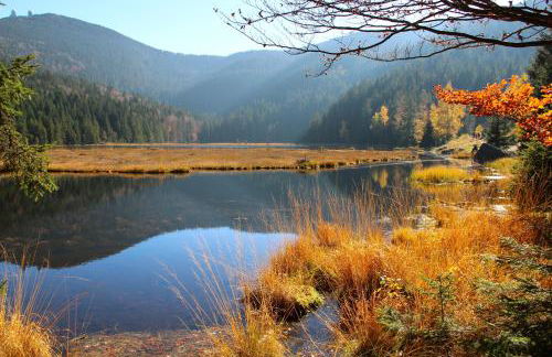 Haus Margarete & Landhaus Karin - Foto 22