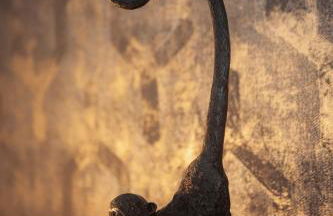 Appartement Les Jardins de Jules Verne - Côté Jardin - Foto 13