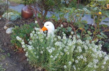 La Salicorne hébergement insolite - Foto 22