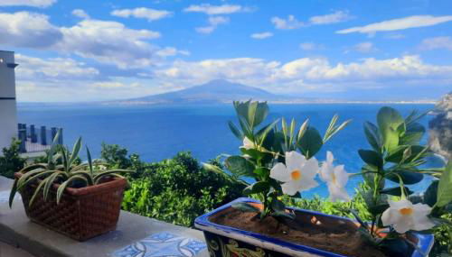 Dimora del Conte Sorrento coast seaview - Foto 5