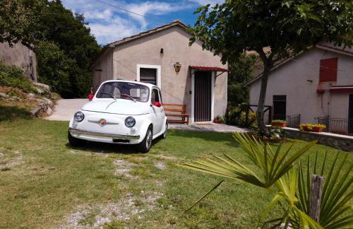 Lime House - Foto 13