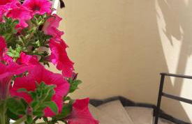 Palazzo Reginella Residence Hotel - Foto 47