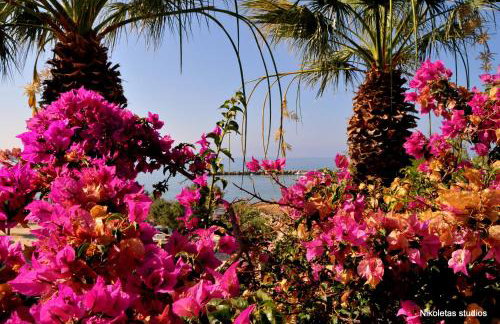 Nikoleta's Studios - Photo 22