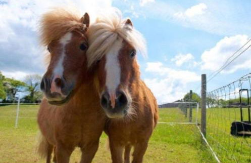 Holiday Home - St Austell - Foto 29