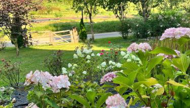 Casa delle Arti Fattoria dei fiori - Foto 3, Garden, Garden view