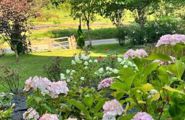 Casa delle Arti Fattoria dei fiori - Foto 56