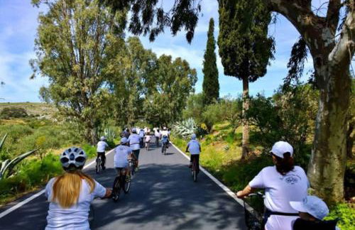 Traditional stone house camari - Foto 4