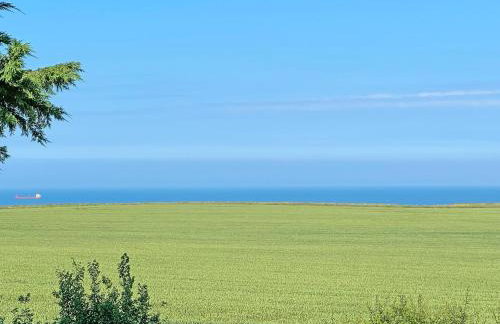 Seafields - Photo 18