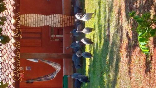 Recanto do Baru - Foto 5