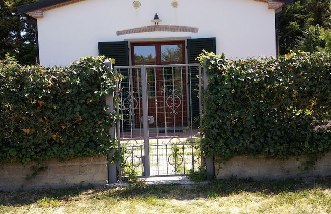 Fattoria La Steccaia - Foto 33