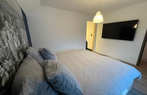 Full House, Jacuzzi, Netflix, 8 pers, free Parking 10' Colmar - Foto 6