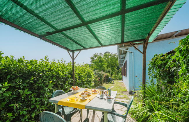 Margherita - Foto 27