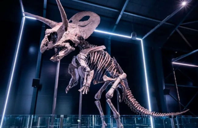 Agerup Comfortable Holiday Residence - Foto 14