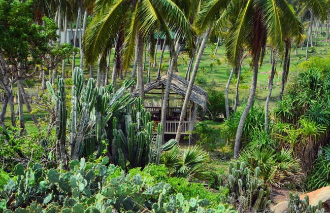 Redhill Yala - Photo 25