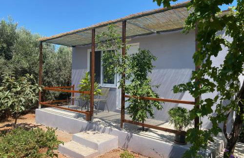 Vine Veranda - Photo 1