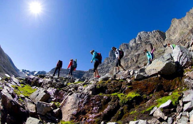 Tour in elicottero e trekking alle Rocky Mountains - Foto 4