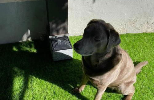 The Lake - Casa Vacanza - Foto 40