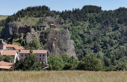 Gîte moderne à Arlempdes: spa, terrasse, grands espaces et visites culturelles - FR-1-582-107 - Foto 4