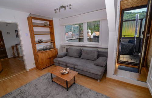 Ferienwohnung Bergblick -KEINE MONTEURE- - Photo 5