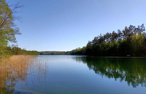 Dom Wakacyjny - Zakątek Marzenie - Foto 42