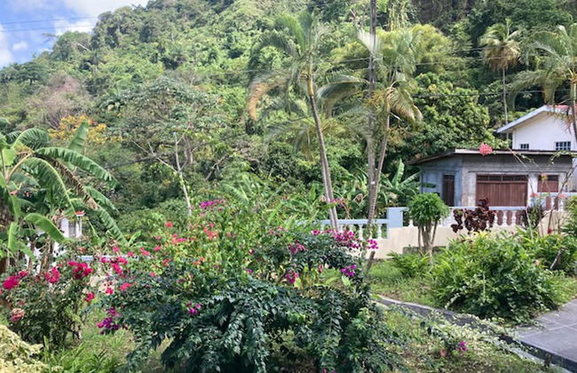 Stunning 2-bed Apartment in Grand Roy, Grenada - Foto 11