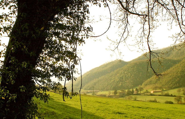 Casa del Mandorlo 8 Emma Villas - Foto 22