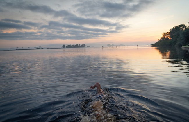 Swarm - 3 Waterlodges Naast Elkaar in Friesland - Foto 25