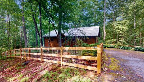 Bear Necessity Cabin - Foto 5