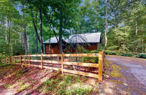 Bear Necessity Cabin - Foto 5