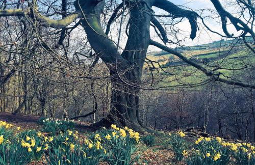 Bijou Cottage in Brontë Country with Wood-burning Stove & Hot Tub Spa - Foto 37