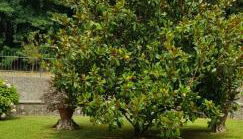 La Casa di Marta - Foto 3, Garden