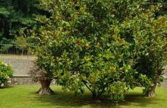 La Casa di Marta - Foto 3