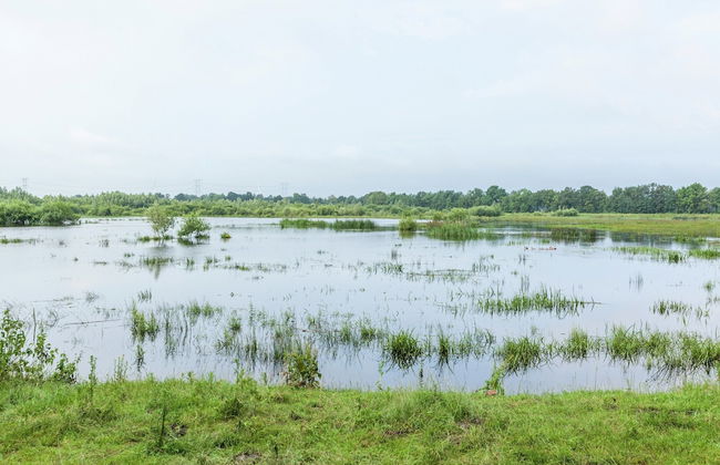 Holiday Home in Oisterwijk With Private Pool - Foto 28