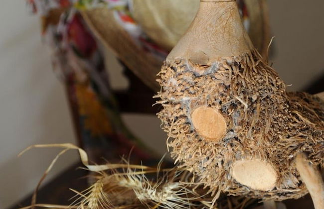 Agriturismo Il Gioco dell'Oca - Foto 40