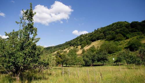Moseltraum-Villa Kenn bei Trier - Foto 2