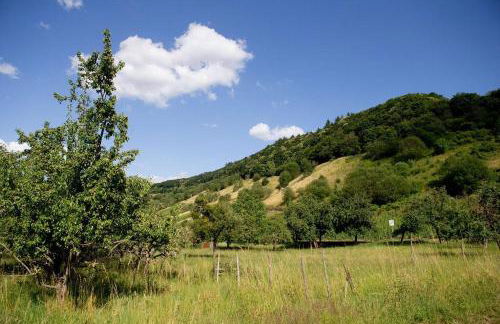 Moseltraum-Villa Kenn bei Trier - Foto 2