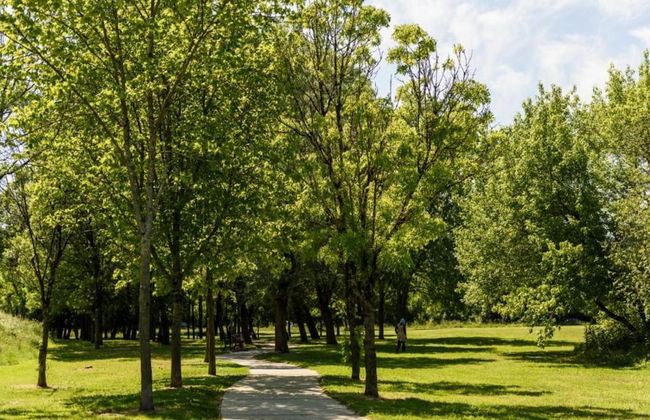 Relaxing Garden Retreat in Dax - Foto 27